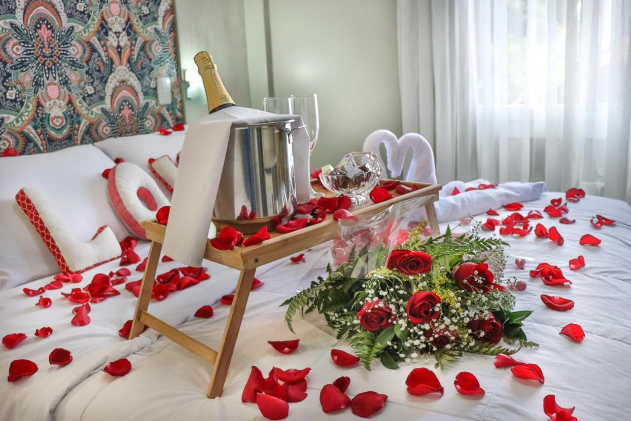 Inn Viena 3*